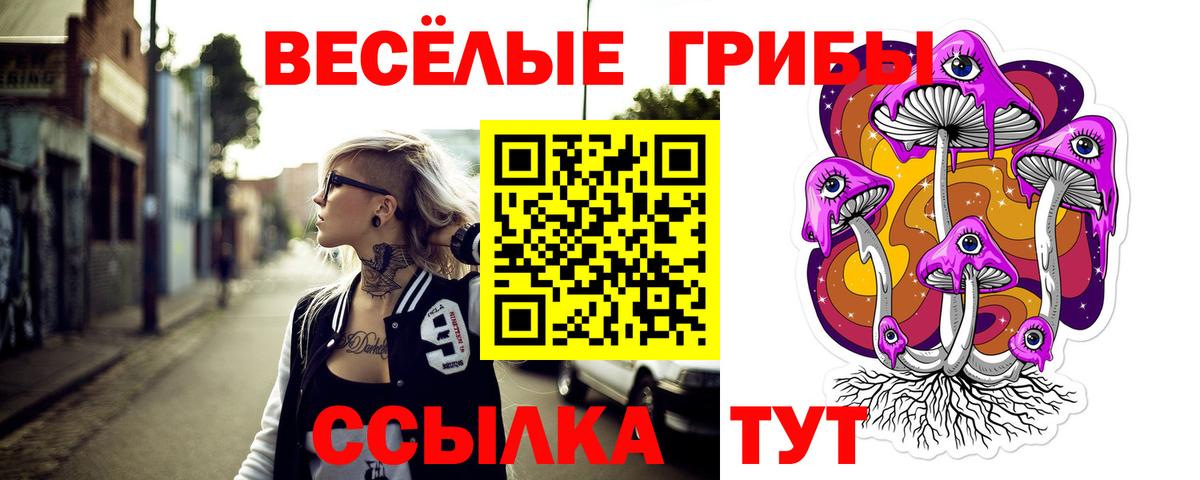 Псилоцибиновые грибы MAGIC MUSHROOMS Ревда